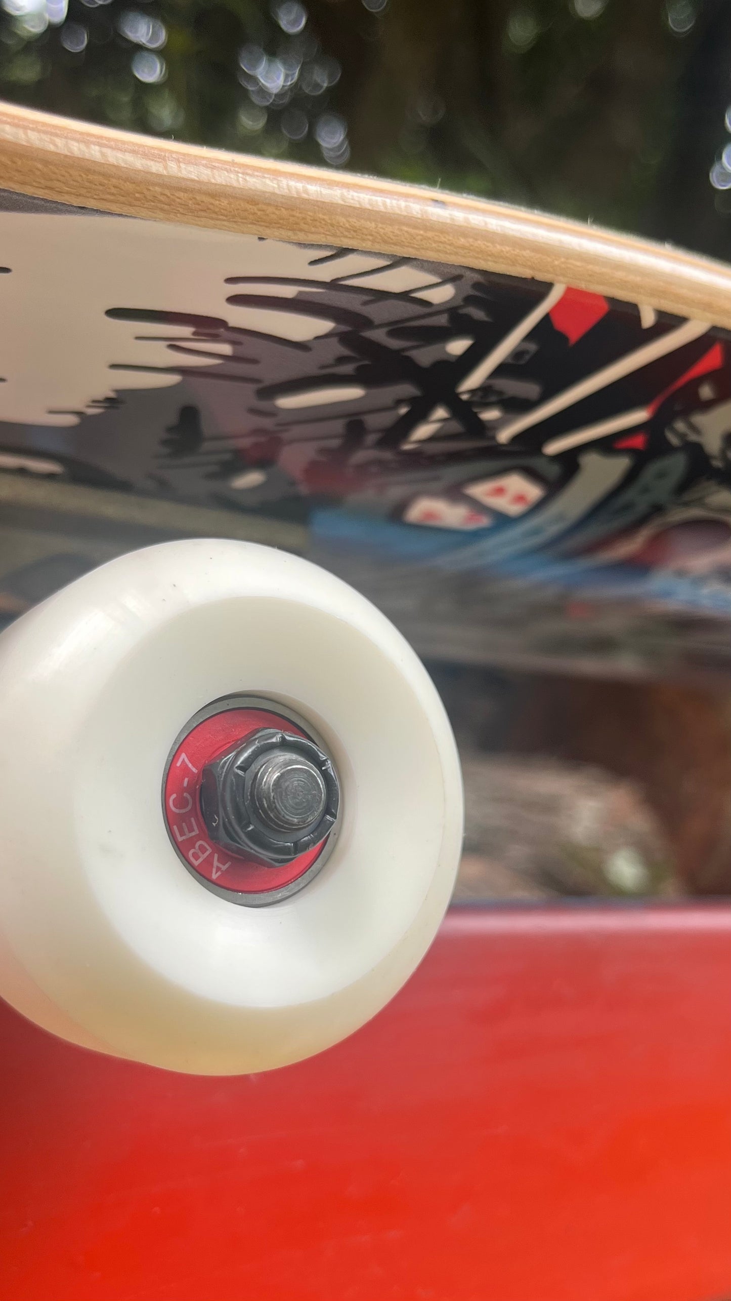Complete Skateboard